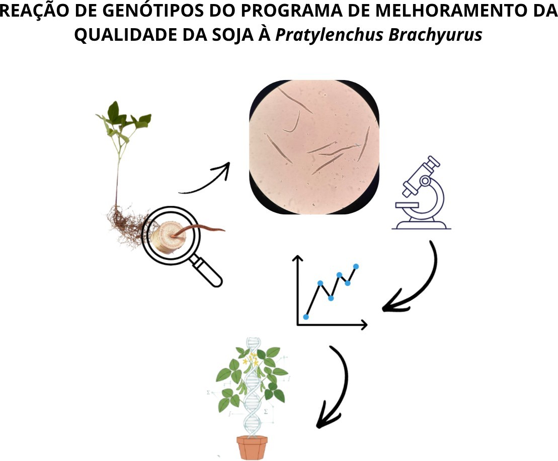 Imagem para capa